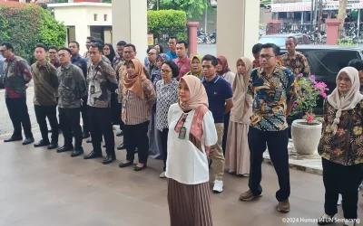 Apel Sore