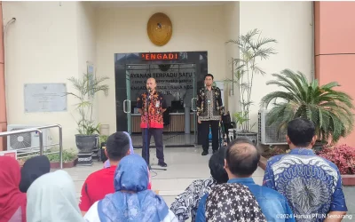 Apel Sore